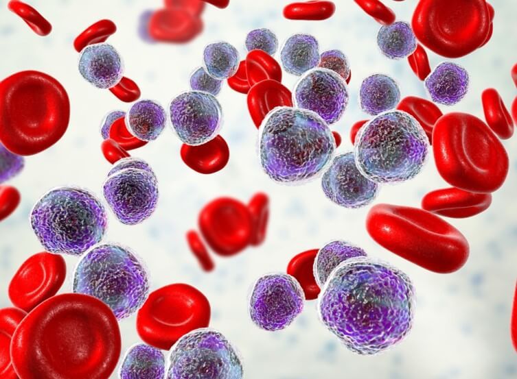 blood platelets