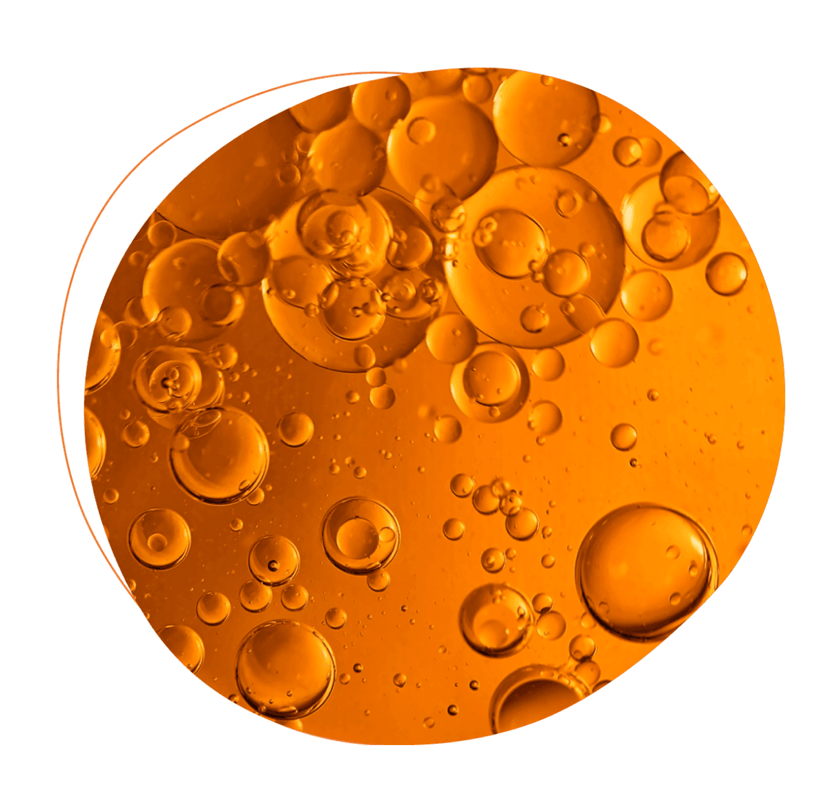 Orange cells