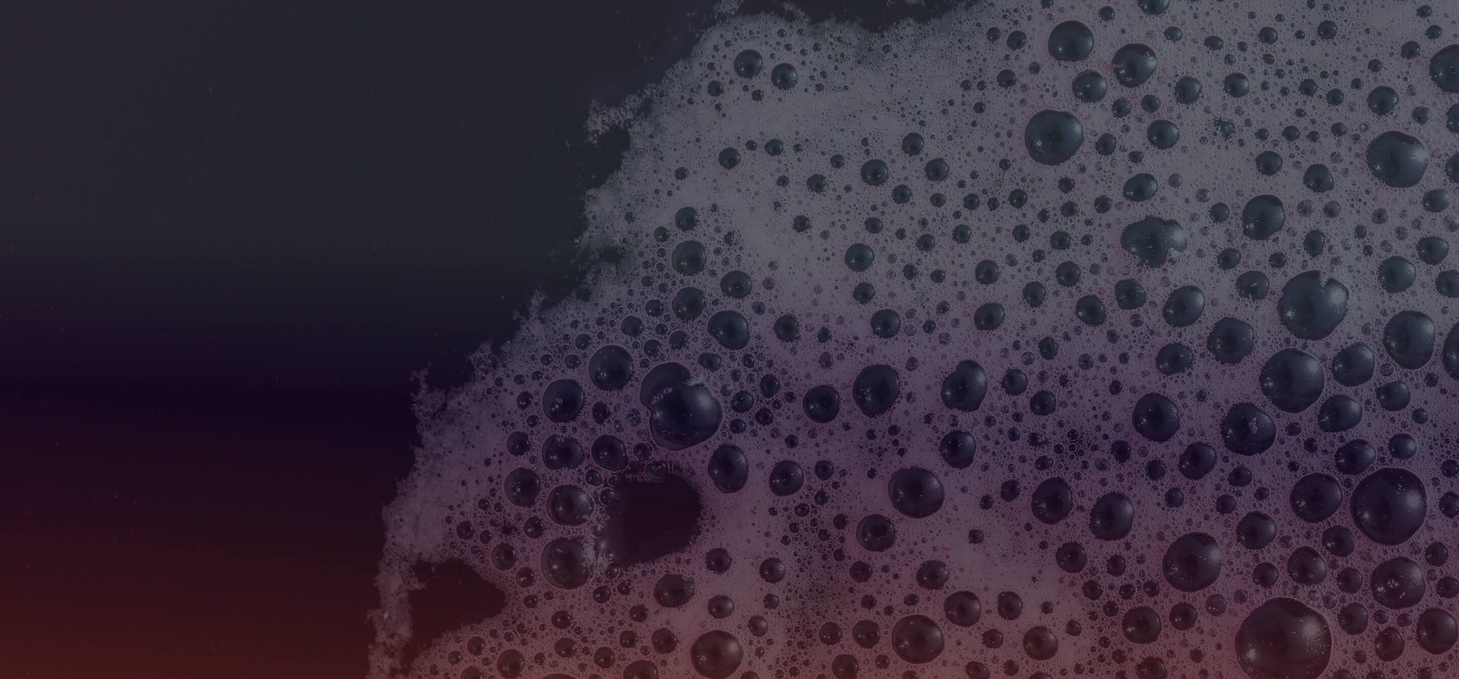Fermentation