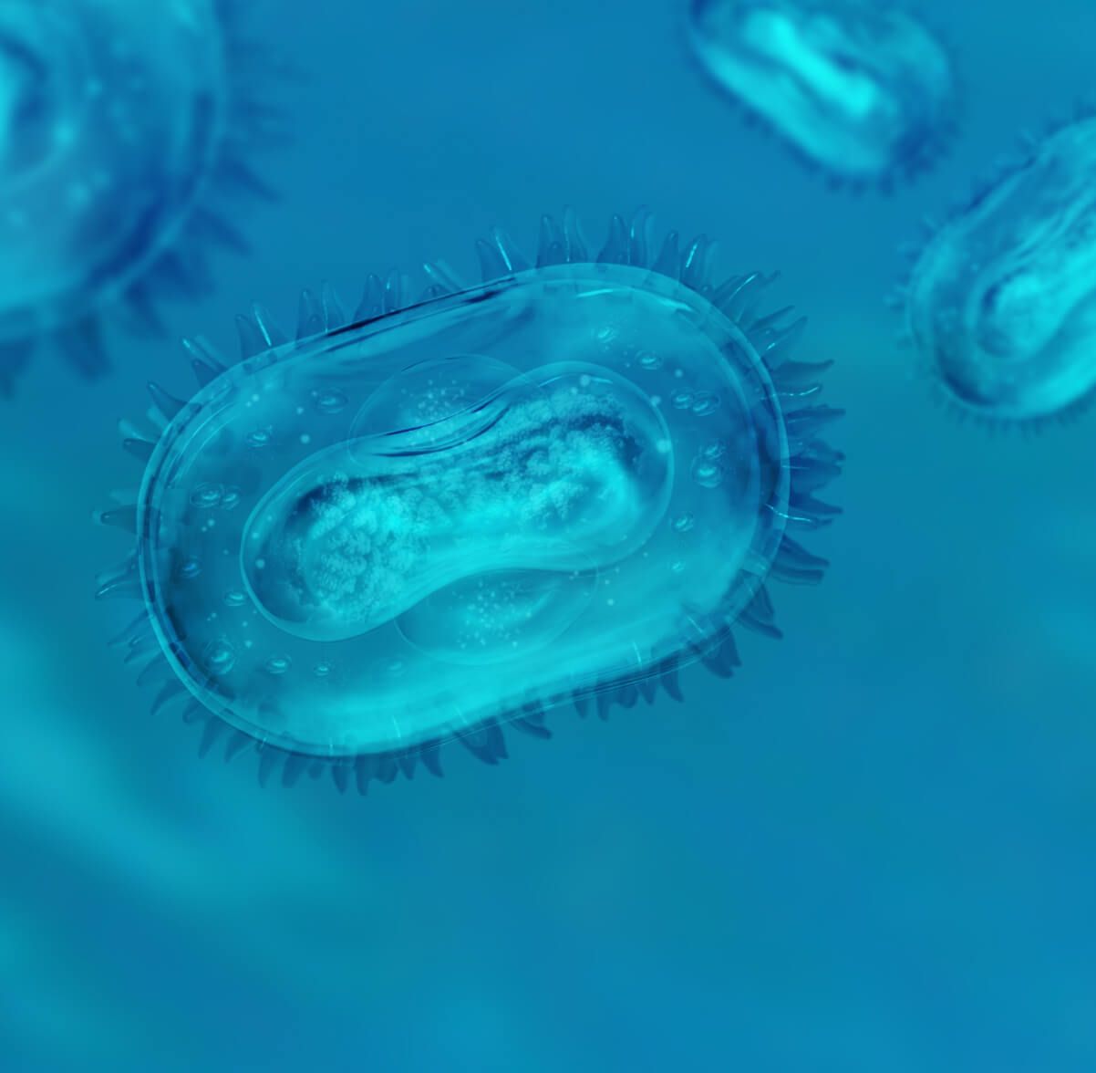 blue cell